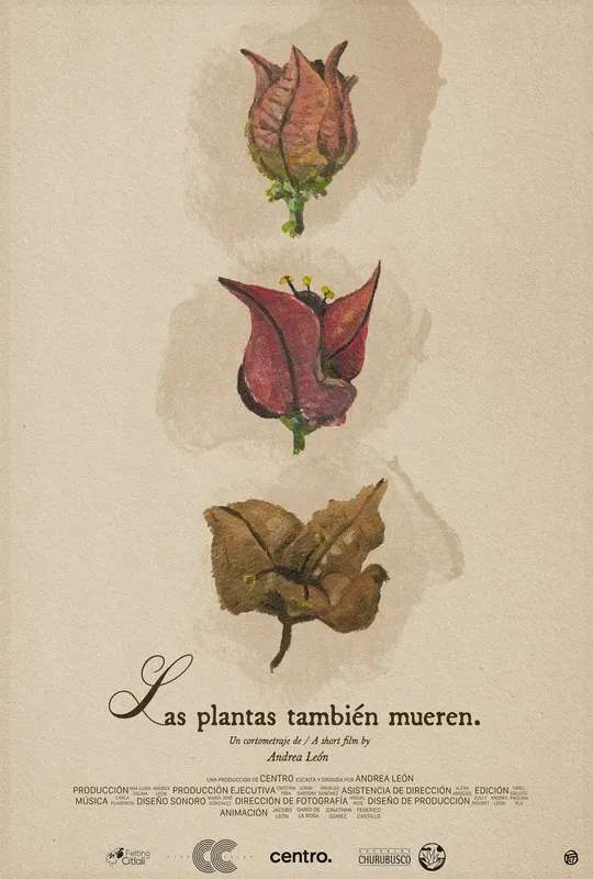 Las plantas también mueren poster