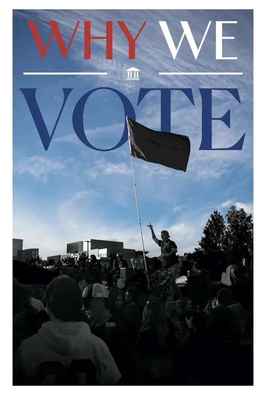 Why We Vote poster