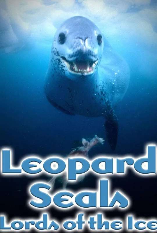 Leopard Seals: Lords of the Ice poster