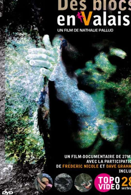 Des Blocs En Valais poster