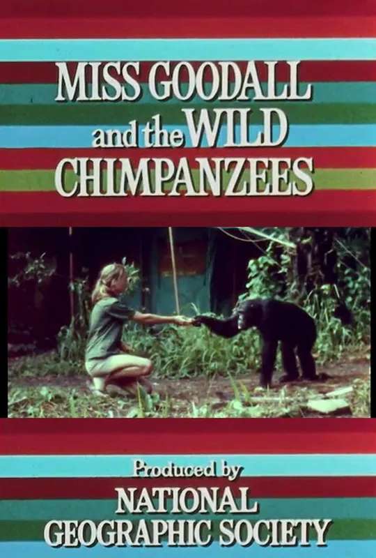 Miss Goodall and the Wild Chimpanzees poster