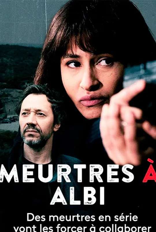 Meurtres à Albi poster