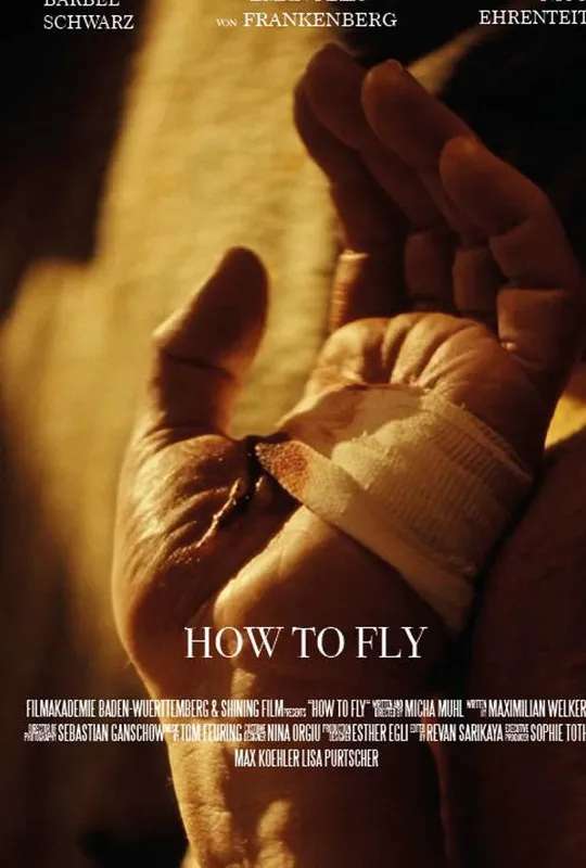 How to Fly poster