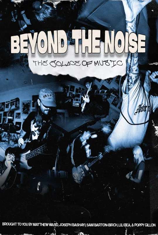 Beyond the Noise. poster
