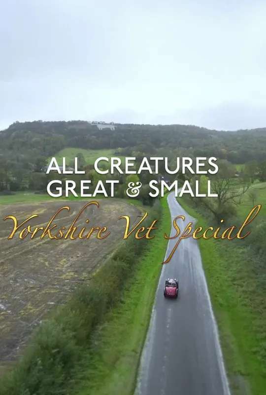 All Creatures Great and Small: Yorkshire Vet Special poster