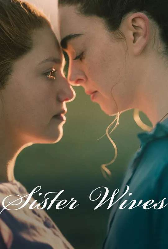 Sister Wives poster