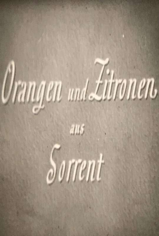 Orangen und Zitronen aus Sorrent poster