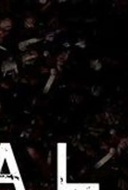 Baltazar poster