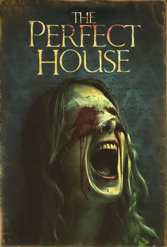 The Perfect House poster