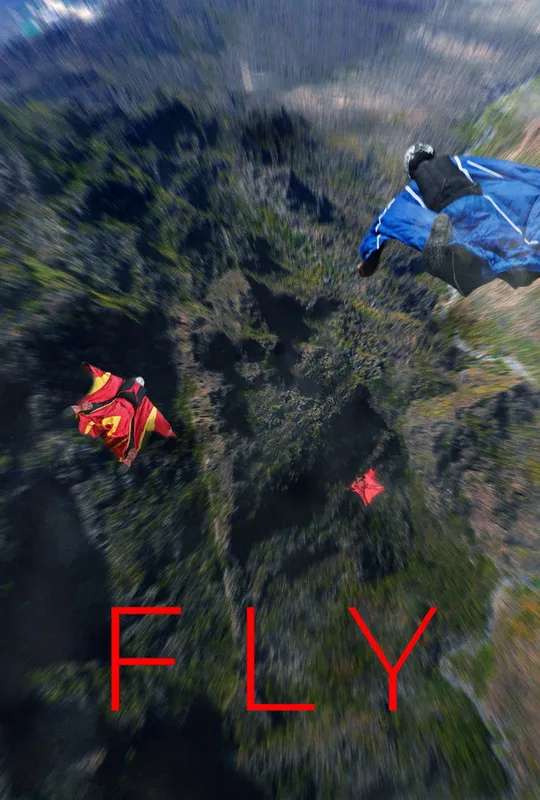 Fly poster