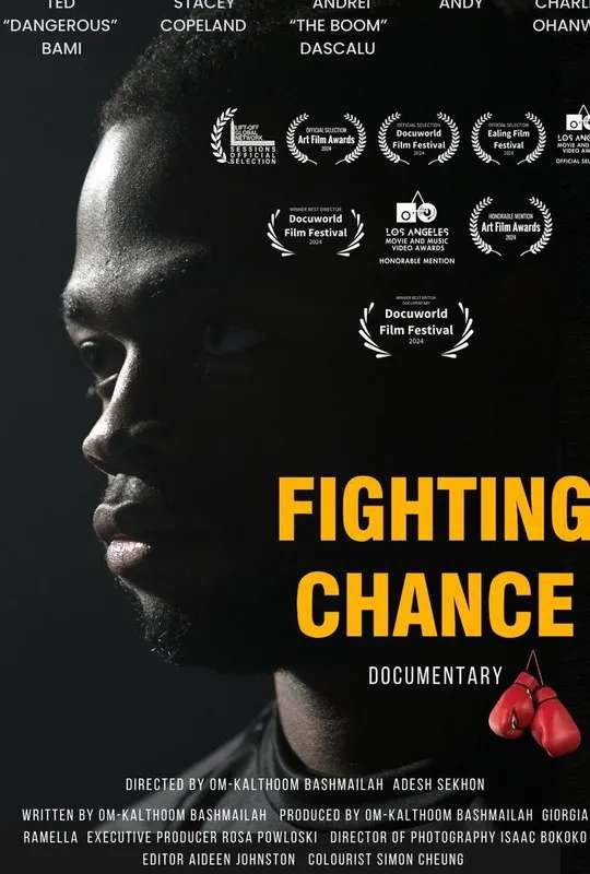 Fighting Chance poster