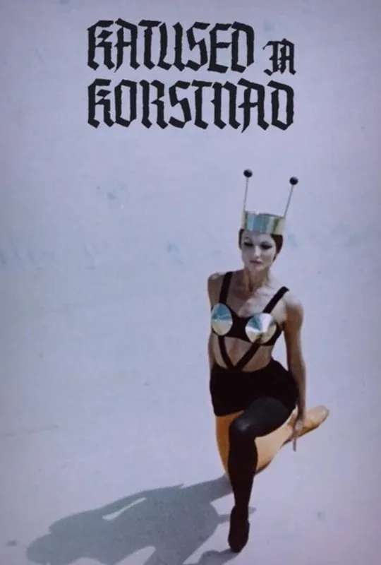 Katused ja korstnad poster