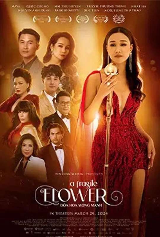 A Fragile Flower poster
