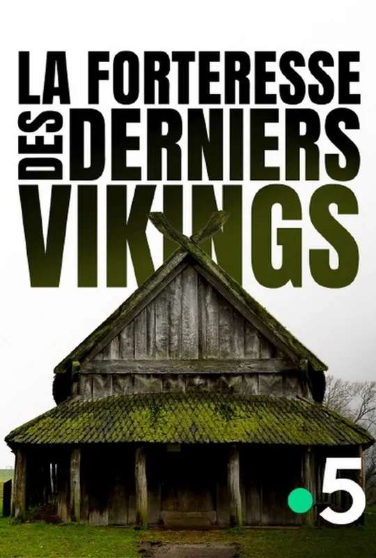 Viking City of the Dead poster