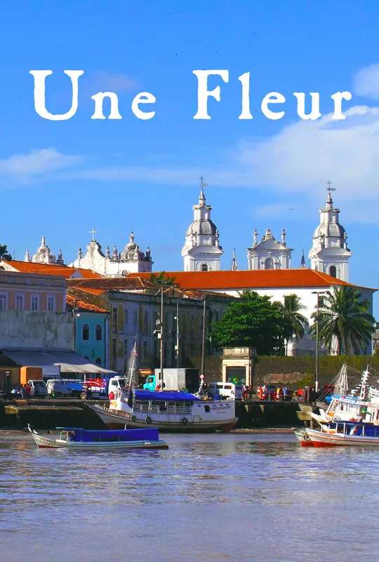 Une fleur dans le Pacifique poster
