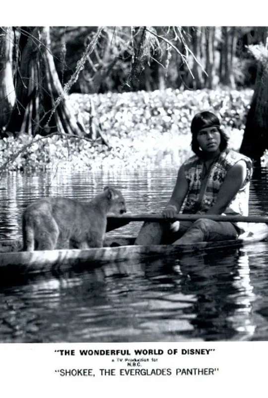 Shokee, the Everglades Panther poster