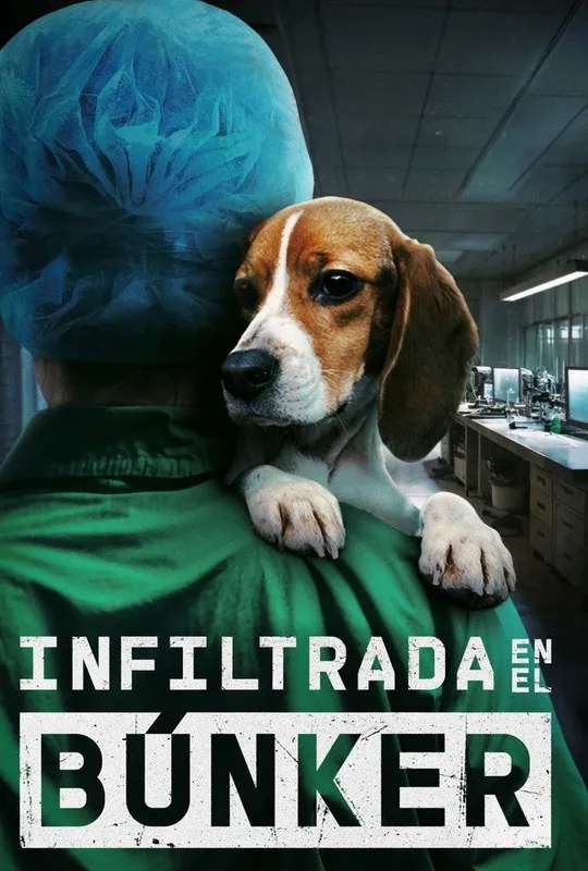 Undercover. Inside the Bunker poster