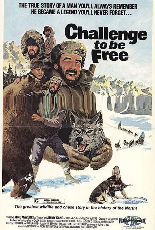 Challenge to be Free poster