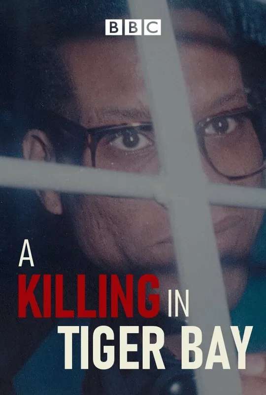 A Killing in Tiger Bay poster