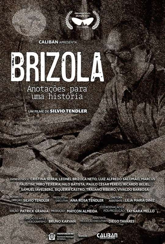 Brizola, Anotações para uma História poster