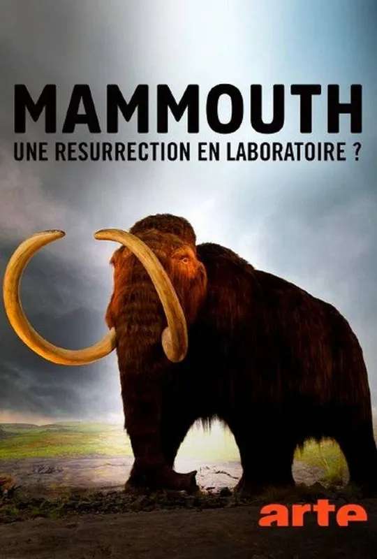 Ein Mammut-Projekt – Wiedergeburt ausgestorbener Arten poster