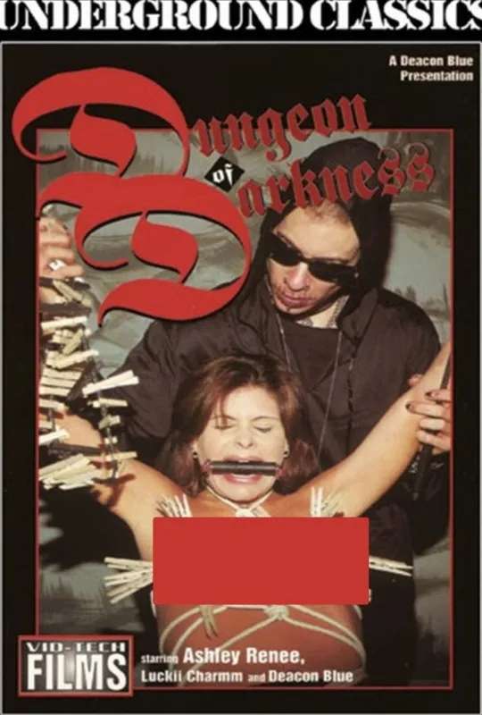 Dungeon of Darkness poster