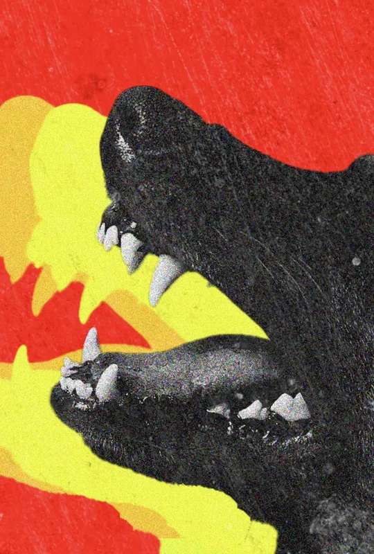 DOGTOOTH poster
