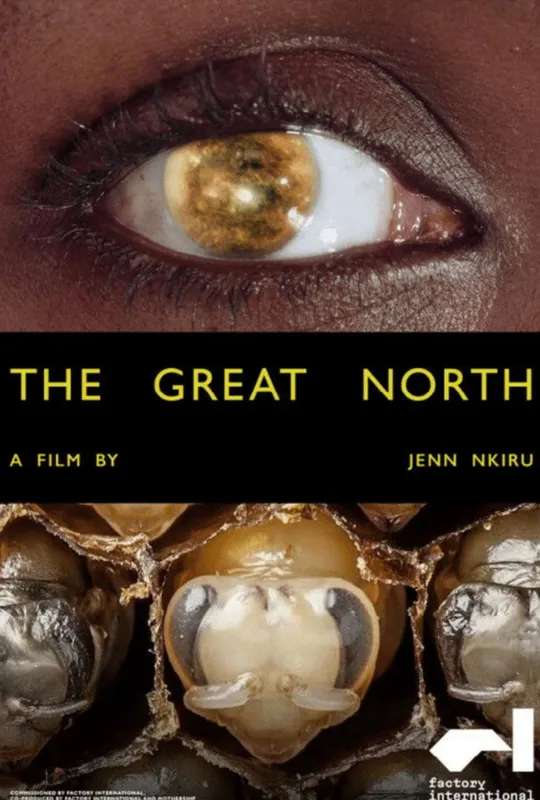 The Great North poster