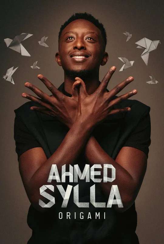 Ahmed Sylla - Origami poster