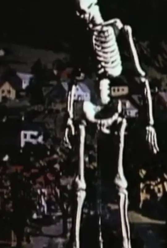 Taurus Test Footage poster