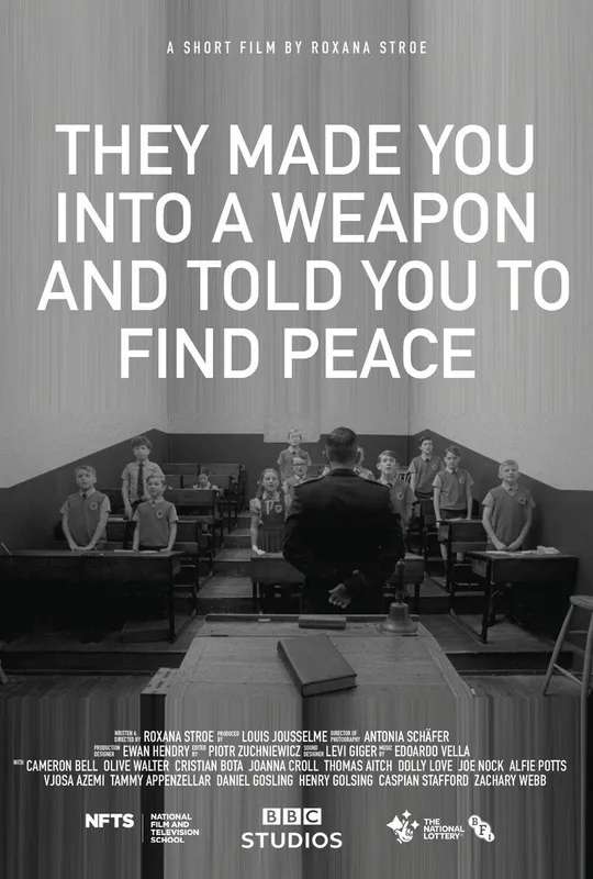They Made You into a Weapon and Told You to Find Peace poster