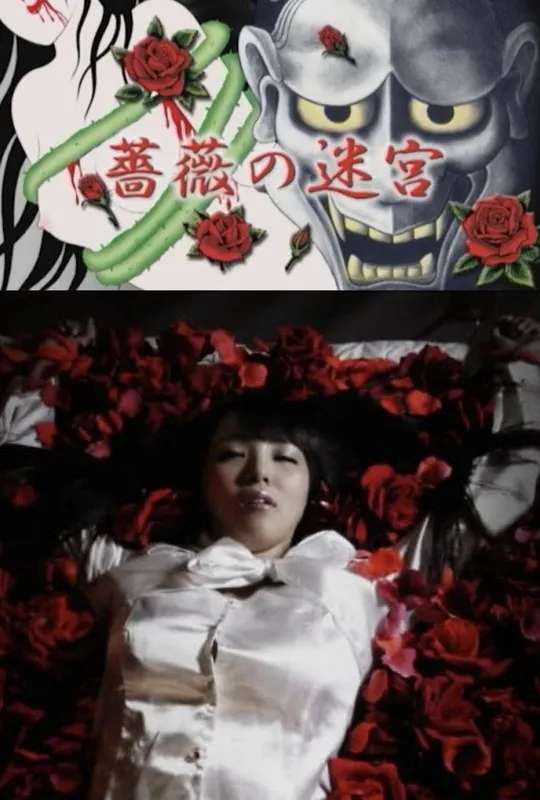 Labyrinth of Roses poster