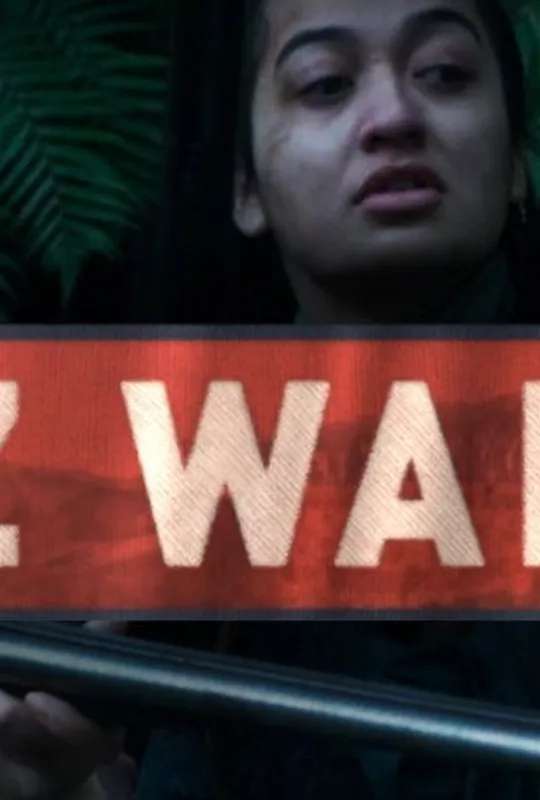 NZ Wars poster