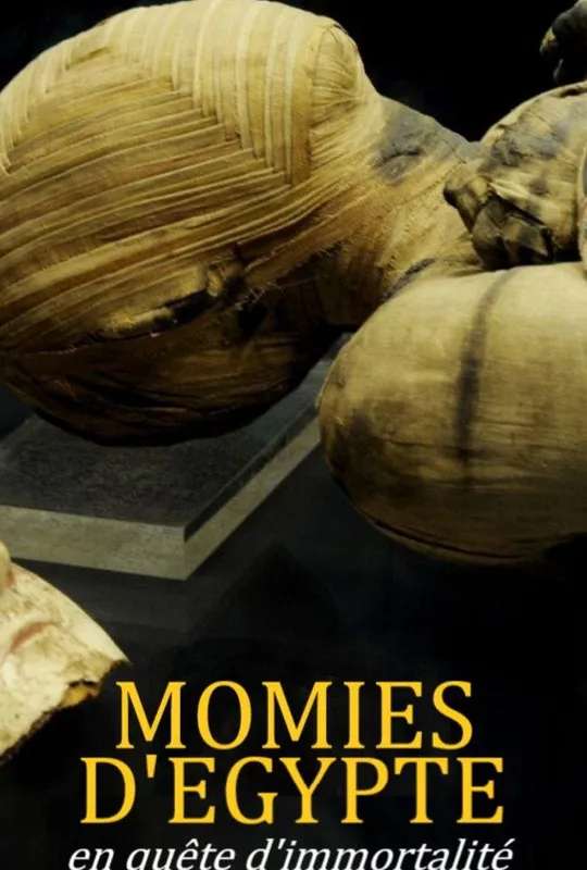 Momies d'Égypte, en quête d'immortalité poster