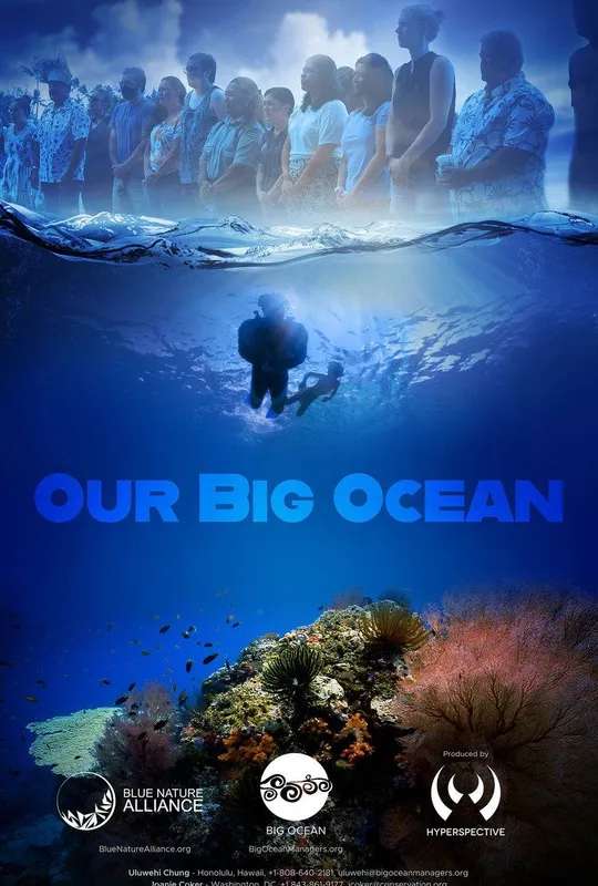 Our Big Ocean poster