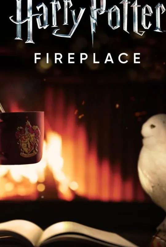 Harry Potter: Fireplace poster