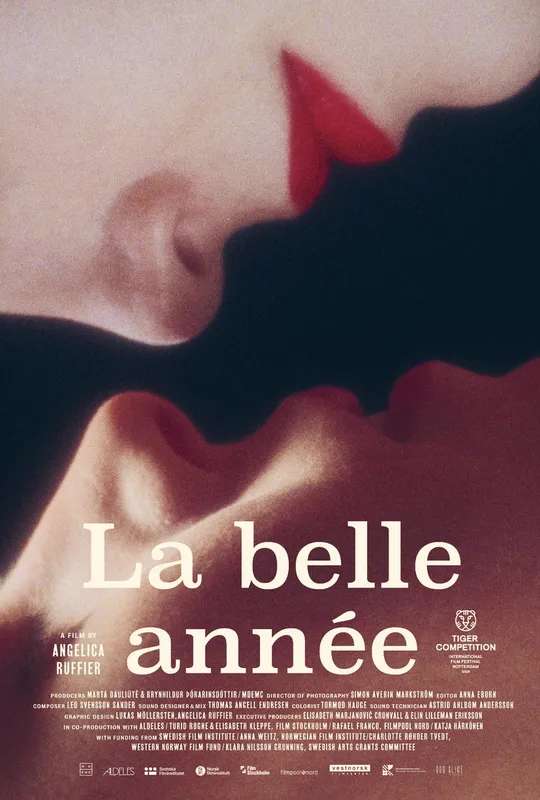 La belle année poster