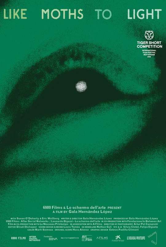 like moths to light poster