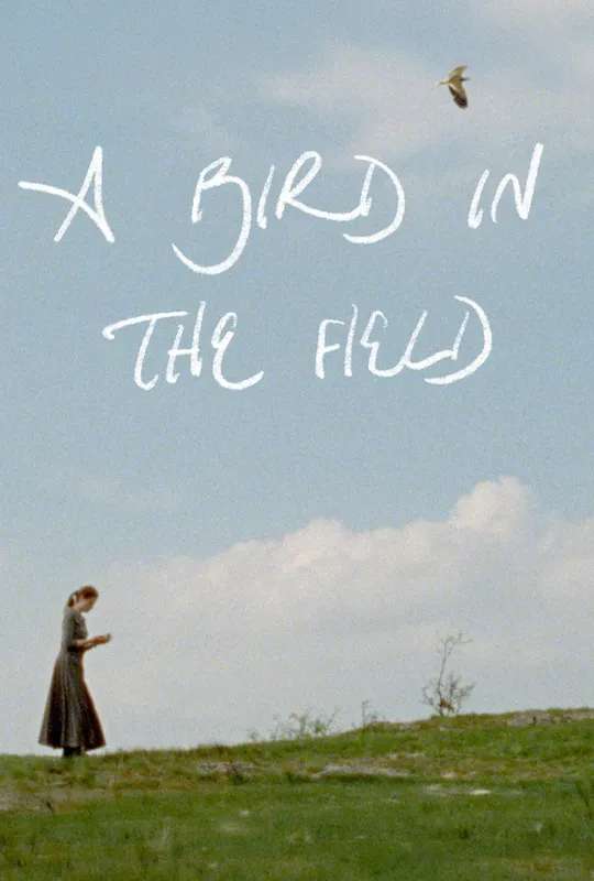 A Bird in the Field poster