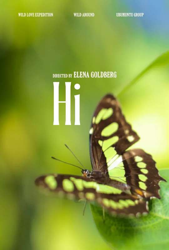 Hi (2025/II) poster