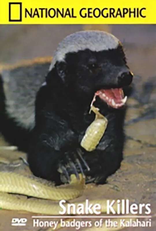 Snake Killers - Honey badgers of the Kalahari poster
