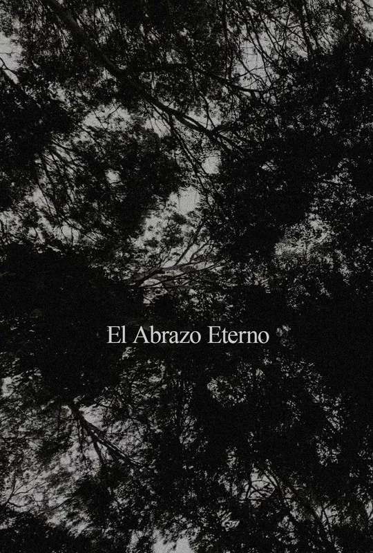El Abrazo Eterno poster