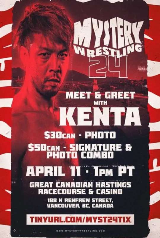 Mystery Wrestling #24 poster