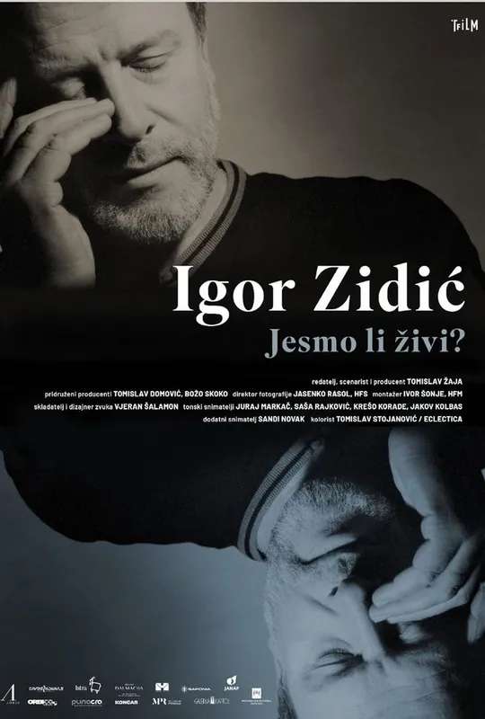 Igor Zidić: Are We Alive? poster