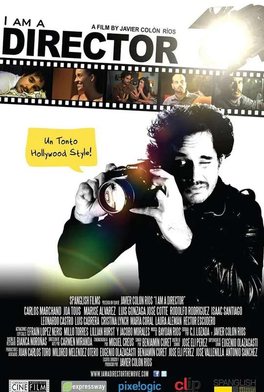 I Am a Director poster