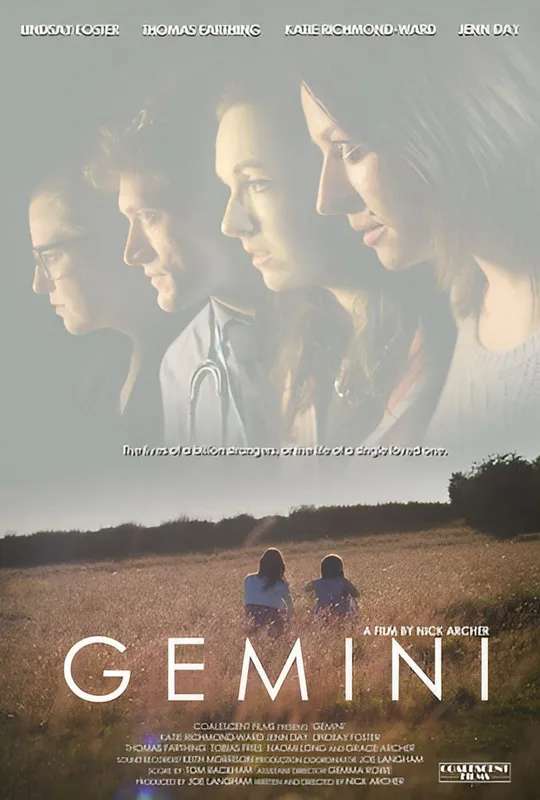 Gemini poster