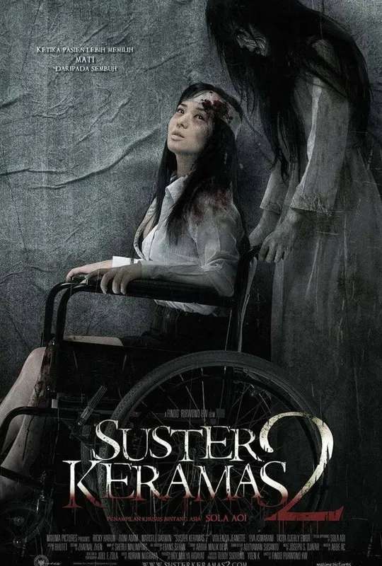 Evil Nurse 2 poster