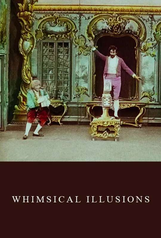 Whimsical Illusions poster