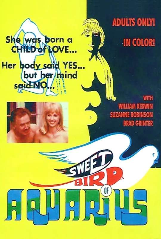 Sweet Bird of Aquarius poster