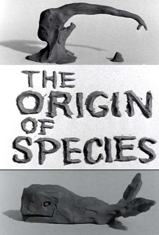 Clay or The Origin of Species poster
